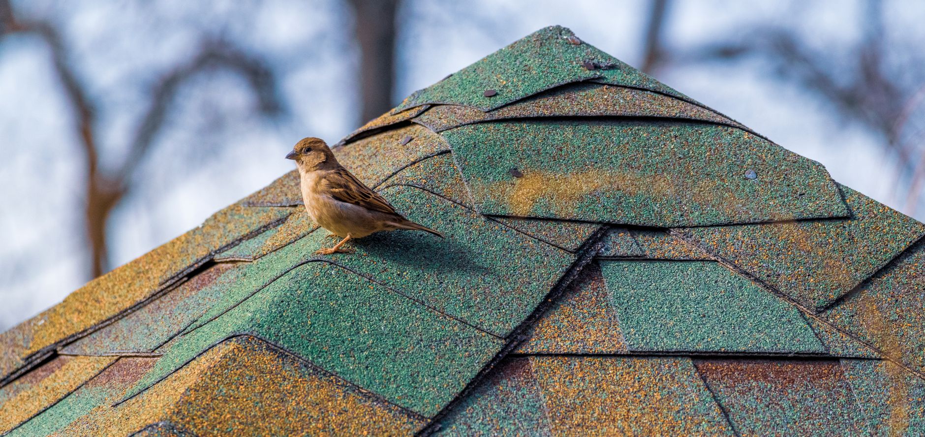 Roof Repair — Ridgeline Roofing