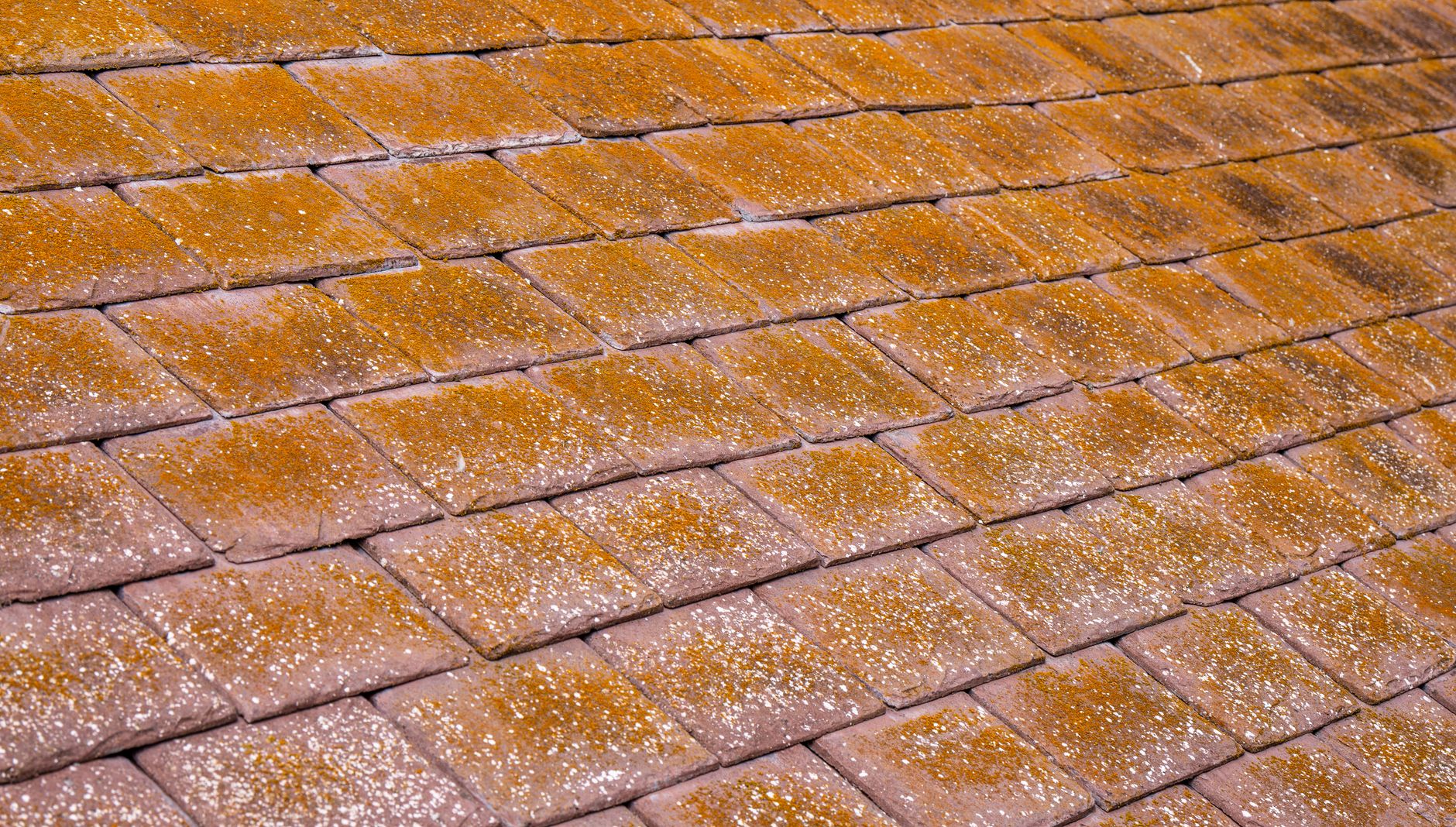Gutter & Fascia Work – Devine
